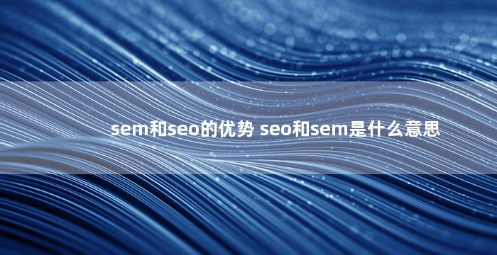 sem和seo的优势 seo和sem是什么意思